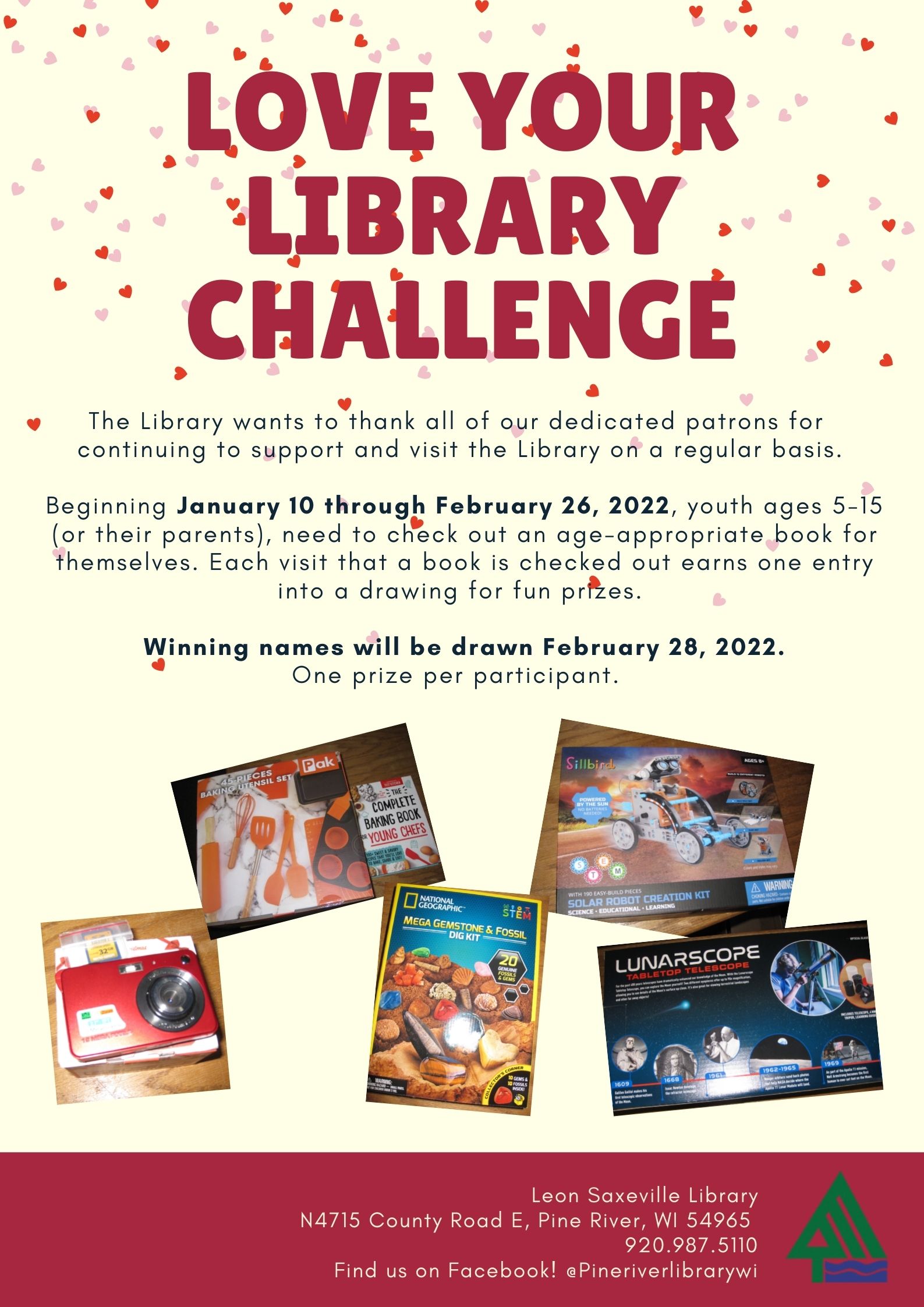 Love Your Library Challenge
